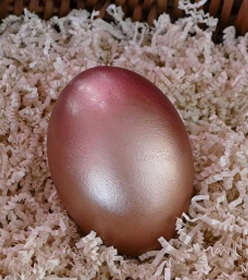 Egg of Creation - Women's Mysteries Rattle - Rose Gold, painted Emu Egg